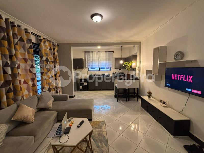 1 bedroom mini flat  Apartment Block Apartment for rent Kisaasi road Kisaasi Kampala Central - 8