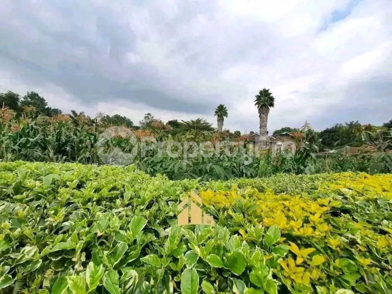 Land for sale Nyari Nairobi