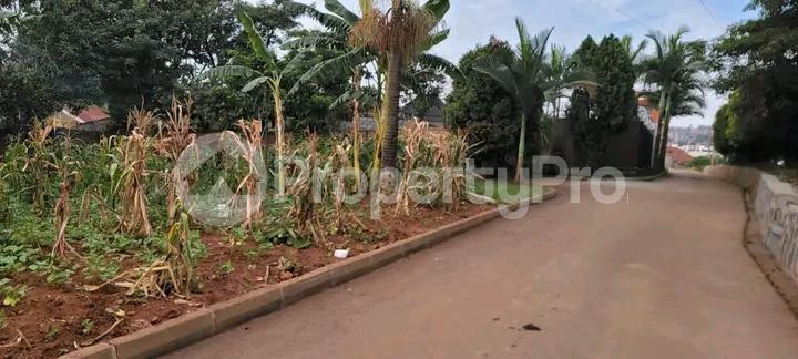 Land for sale Kiwatule road  Kampala Central - 6