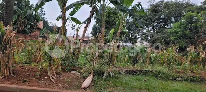 Land for sale Kiwatule road  Kampala Central - 1