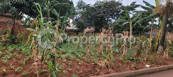 Land for sale Kiwatule road  Kampala Central - 5