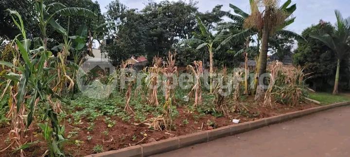 Land for sale Kiwatule road  Kampala Central - 3