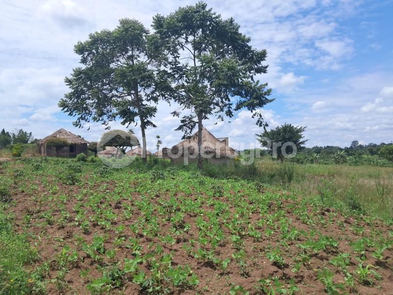 Land for sale Luwero wobulenzi  Luweero Central - 2