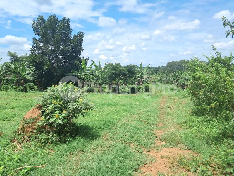 Land for sale Luwero wobulenzi  Luweero Central - 1