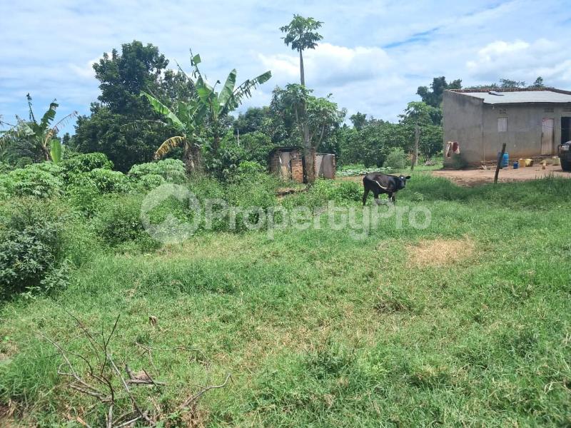 Land for sale Luwero wobulenzi  Luweero Central - 4