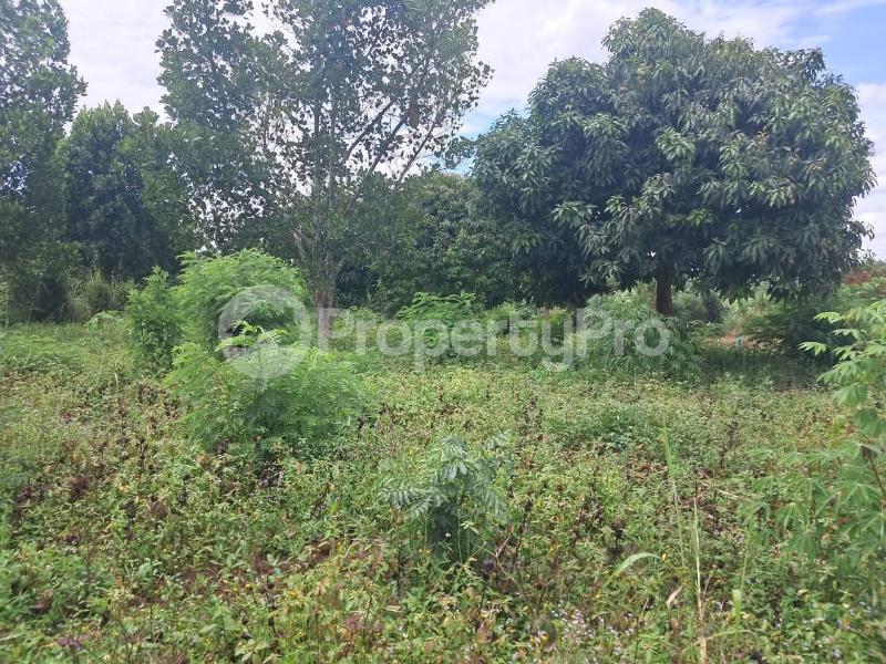 Land for sale Luwero wobulenzi  Luweero Central - 5