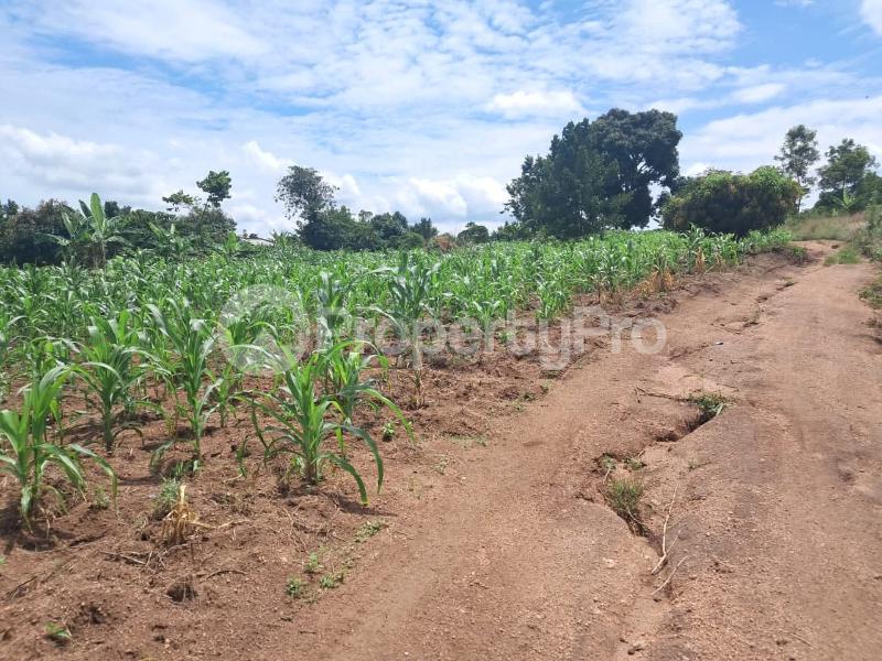 Land for sale Luwero wobulenzi  Luweero Central - 0