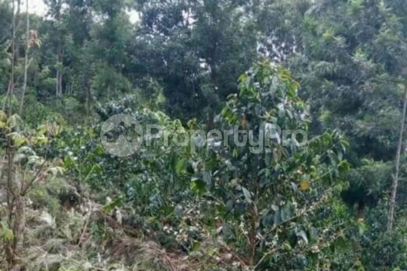 Land for sale Kirinyaga Central Kirinyaga