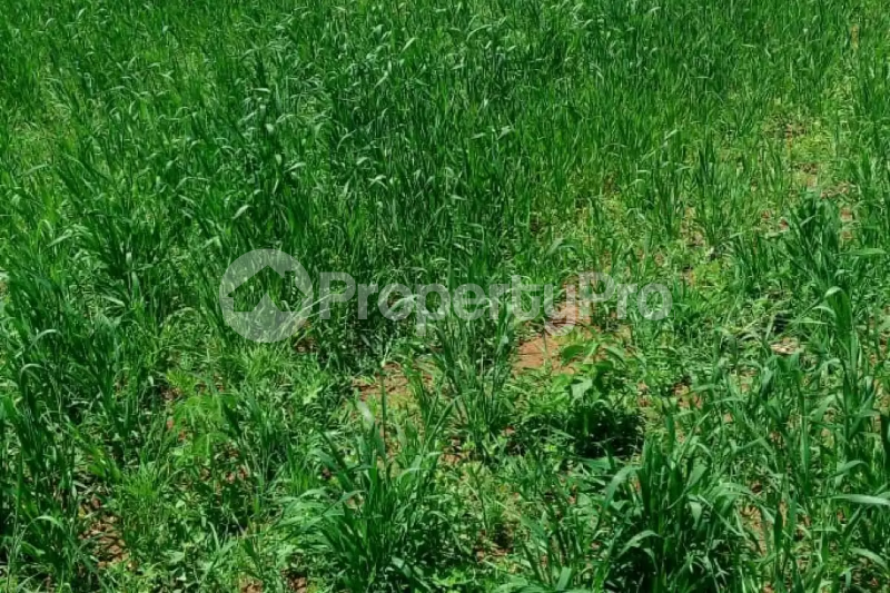 Land for sale Laikipia Laikipia