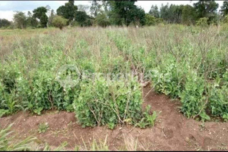 Land for sale Nanyuki Nanyuki