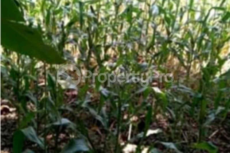Land for sale Kirinyaga Central Kirinyaga