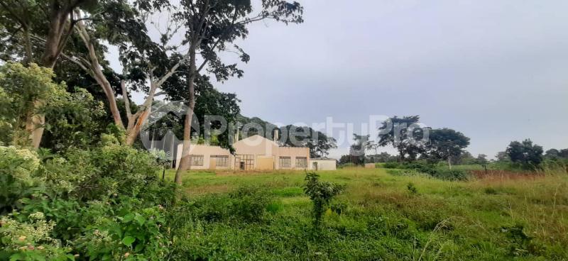 Land for rent Jinja Uganda Jinja Eastern - 8