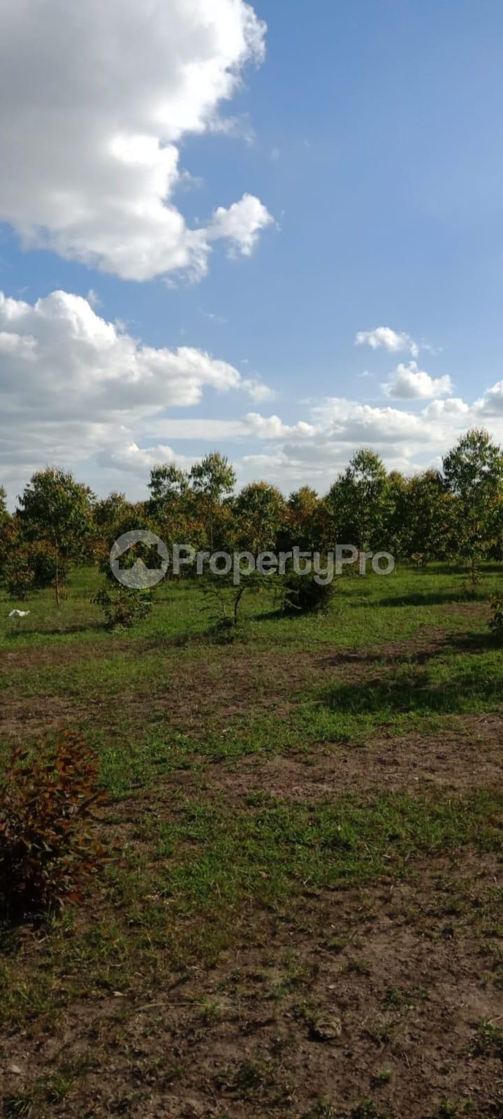 Residential Land for sale Juja Farm, Juja Kiambu (PID 1AGMM) PropertyPro