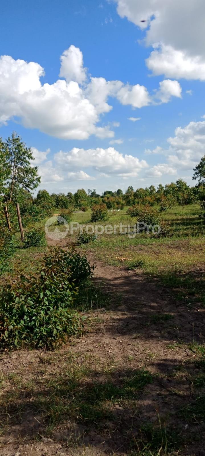 Residential Land for sale Juja Farm, Juja Kiambu (PID 1AGMM) PropertyPro