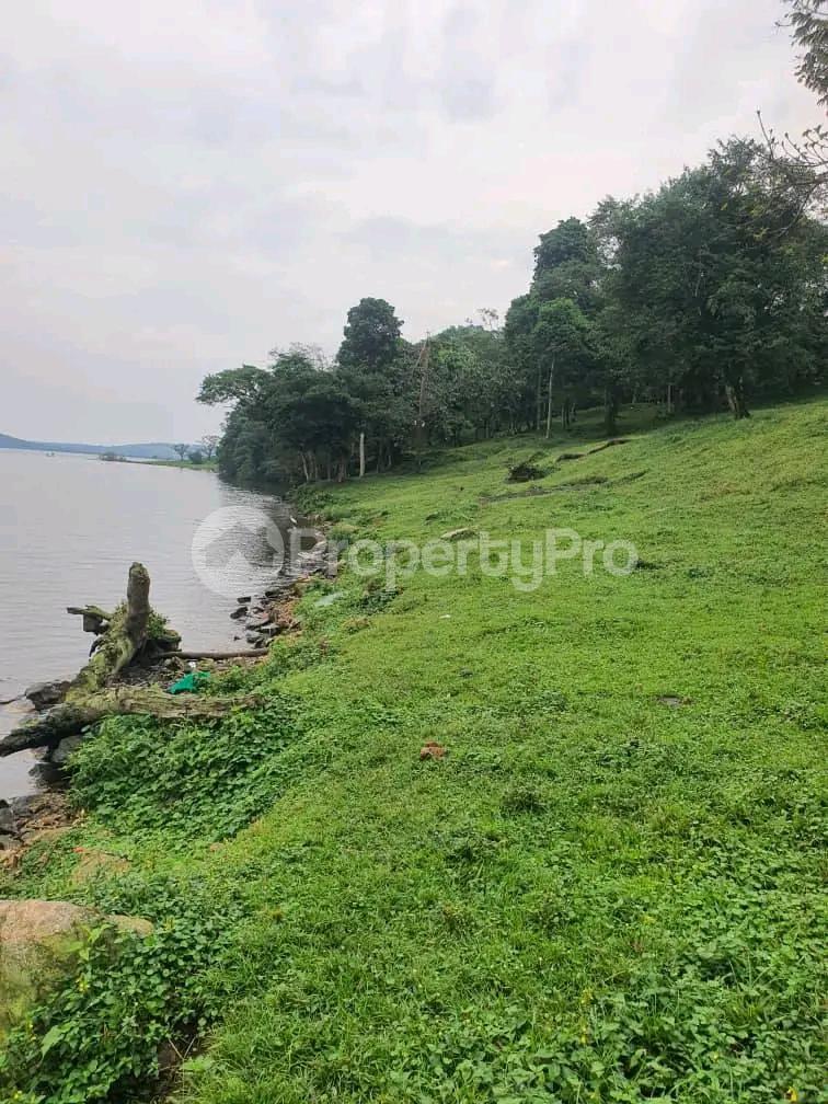 Land for sale Kalagalala Kalangala Central - 1