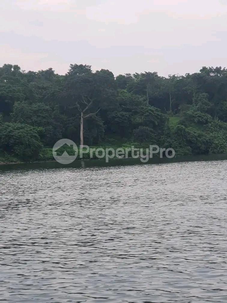 Land for sale Kalagalala Kalangala Central - 4