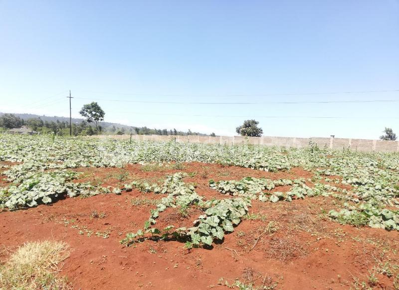 Land for sale Nairobi, Runda Runda Nairobi (PID 9ACTH) PropertyPro