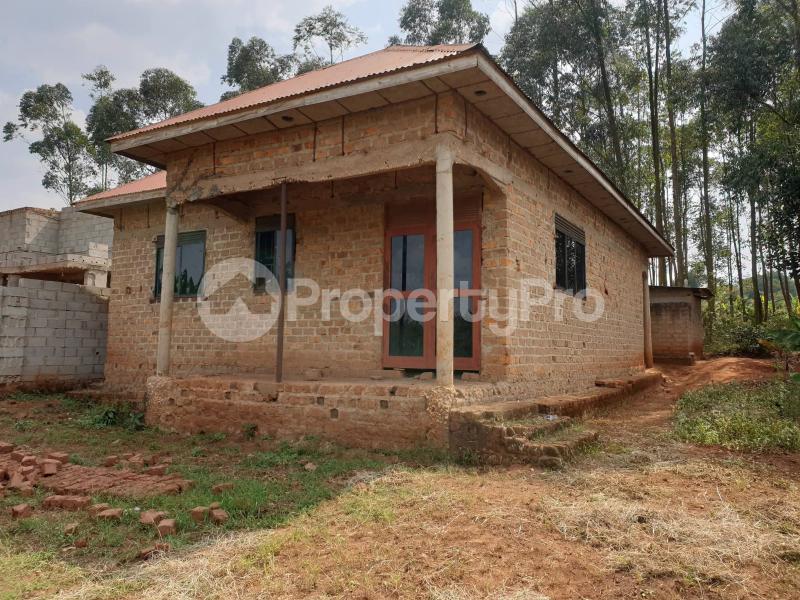 Villa for sale Buwama masaka Rd  Masaka Central
