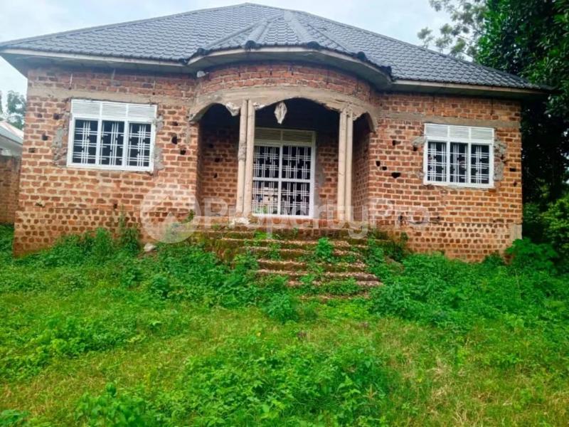 3 bedroom Villa for sale Bombo town Luweero Central - 4