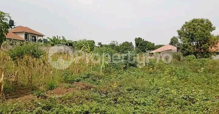 Land for sale Najjera road  Kampala Central Kampala Central - 6