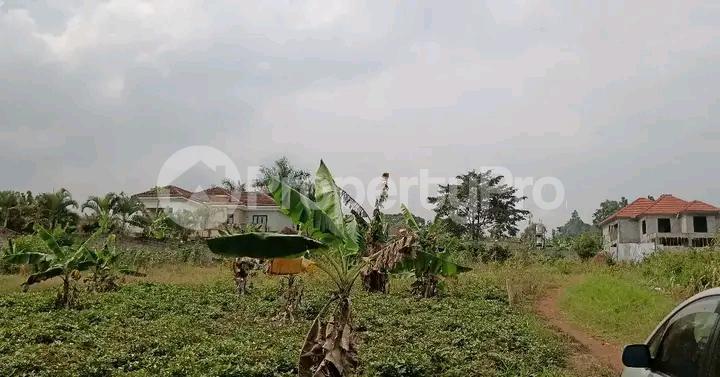 Land for sale Najjera road  Kampala Central Kampala Central - 3