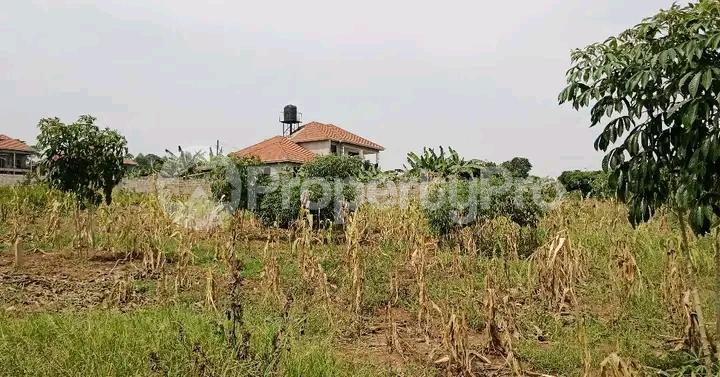 Land for sale Najjera road  Kampala Central Kampala Central - 2