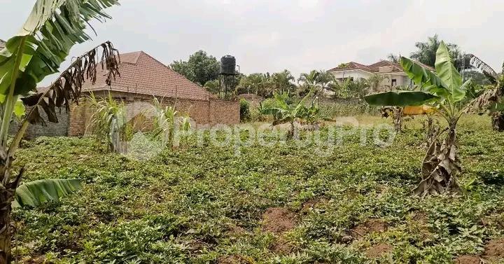 Land for sale Najjera road  Kampala Central Kampala Central - 4