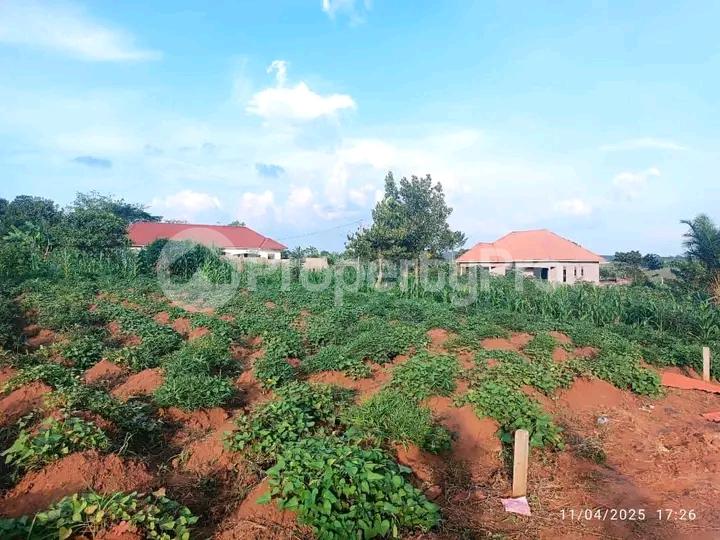 Land for sale Namugongo  Wakiso Central - 3