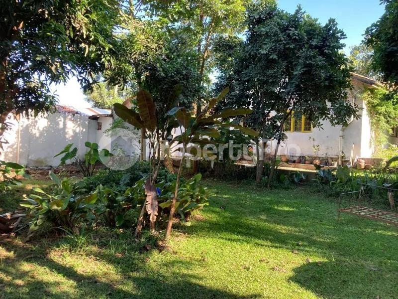1 bedroom mini flat  Bungalow Apartment for rent Mulago mawanda road  Mulago Kampala Central - 4
