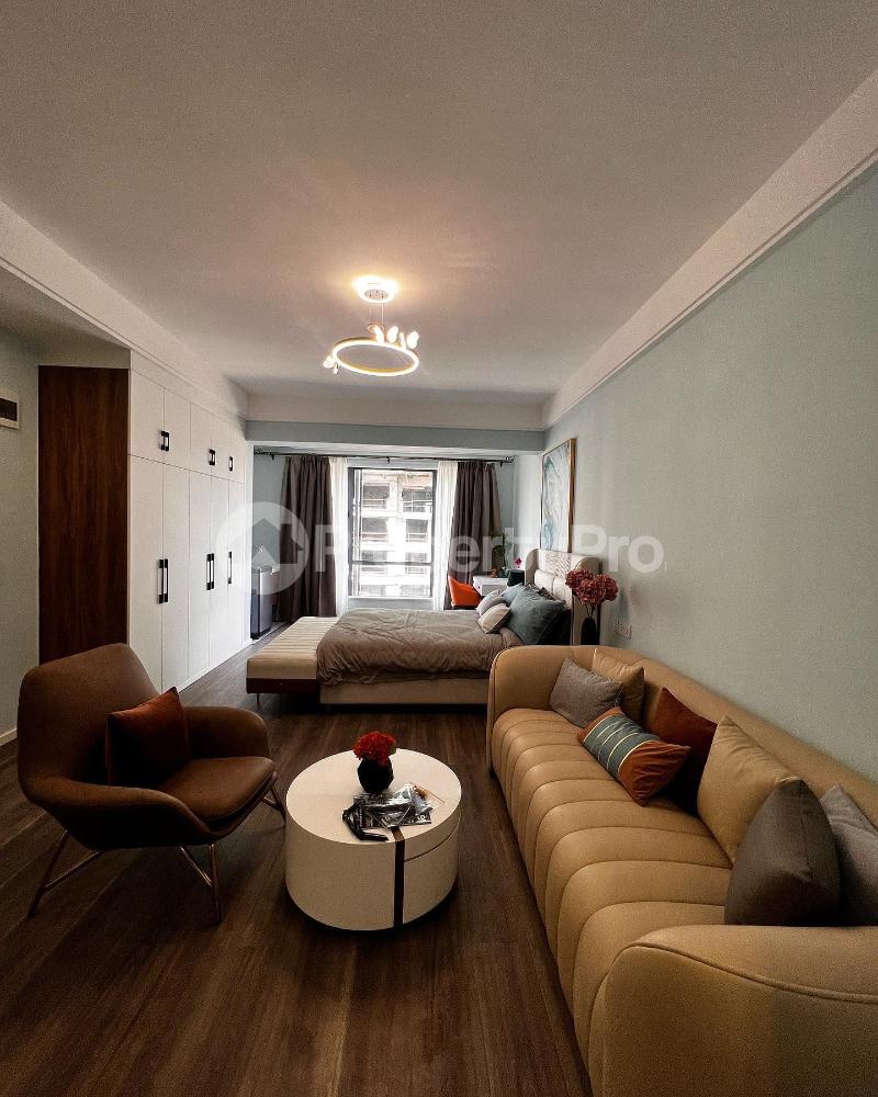 1 bedroom mini flat Bedsitter Flat&Apartment for rent OTHAYA ROD