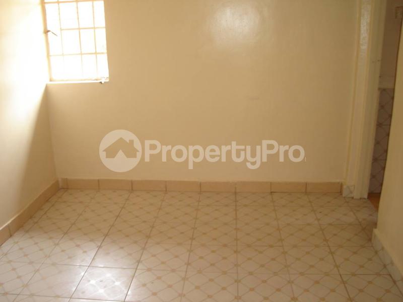 Bedsitter Flat&Apartment for rent NGUMO SUNVIEW OPPOSITE KENYATTA