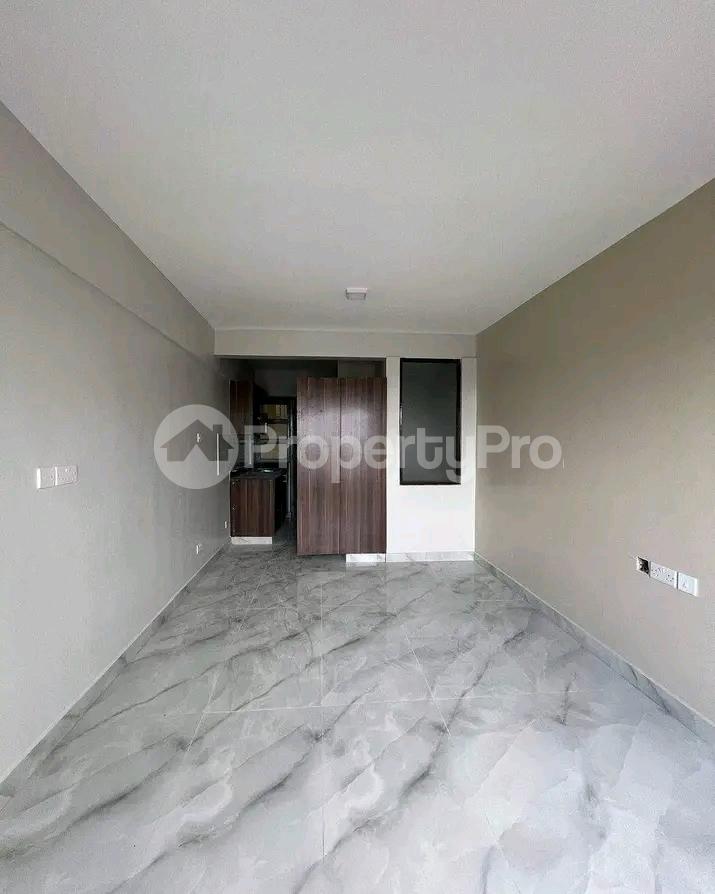 1 bedroom mini flat Bedsitter Flat&Apartment for rent Umoja Nairobi