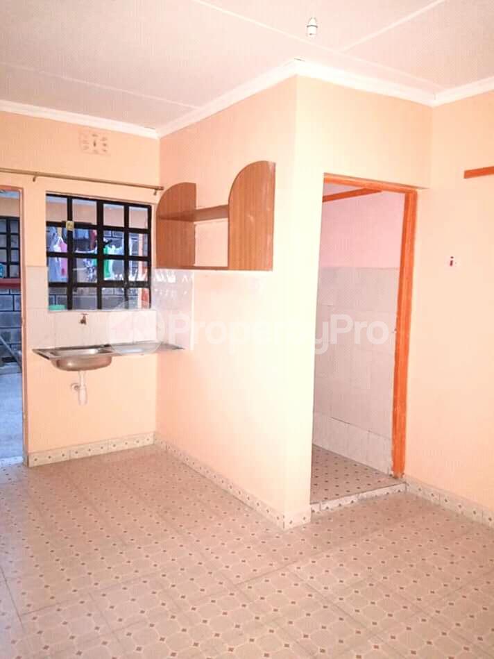 Bedsitter Flat&Apartment for rent Canopy Zimmerman Nairobi (PID 0AELP