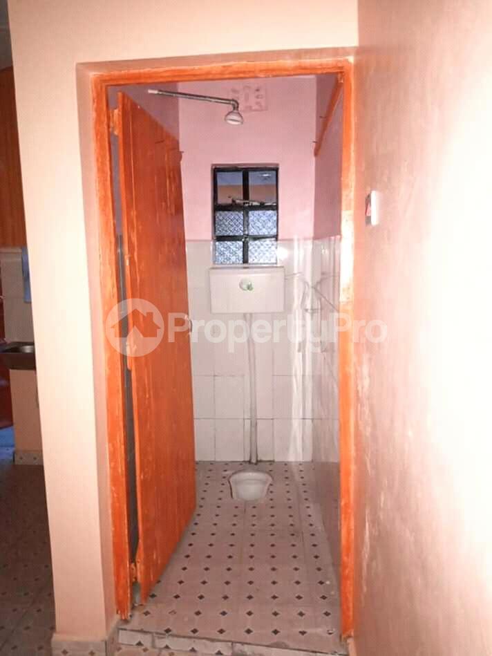 Bedsitter Flat&Apartment for rent Canopy Zimmerman Nairobi (PID 0AELP