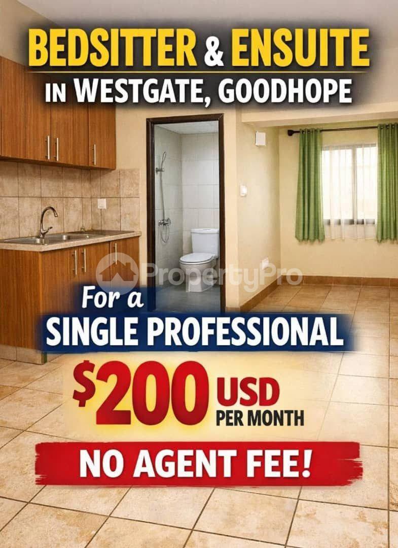 1 bedroom mini flat  Rooms for rent Westgate Harare West Harare - 0