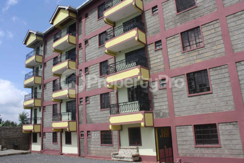 1 bedroom mini flat  Bedsitter Flat&Apartment for rent Kiambu Road Nairobi - 6