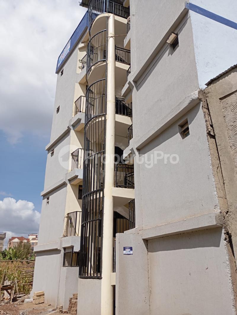 Bedsitter Flat&Apartment for rent Ruaka Nairobi (PID 8APYV) PropertyPro