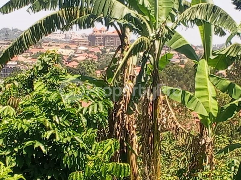 Land for sale Mukono nabuti Mukono Mukono Central - 2