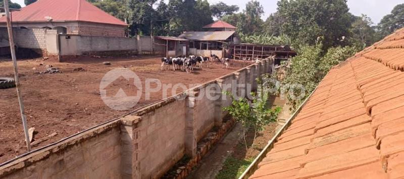 6 bedroom Villa for sale Kira nakwero estate  Kira Wakiso Central - 8