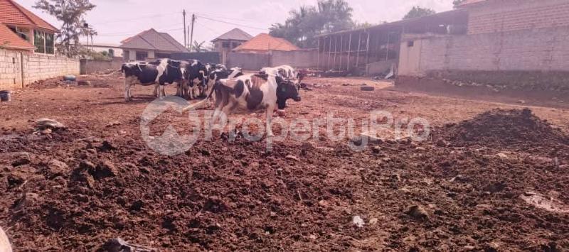 6 bedroom Villa for sale Kira nakwero estate  Kira Wakiso Central - 7