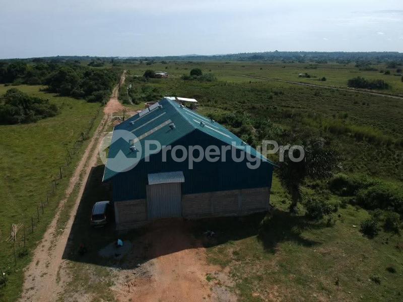 Land for sale Masaka  Masaka Central - 1