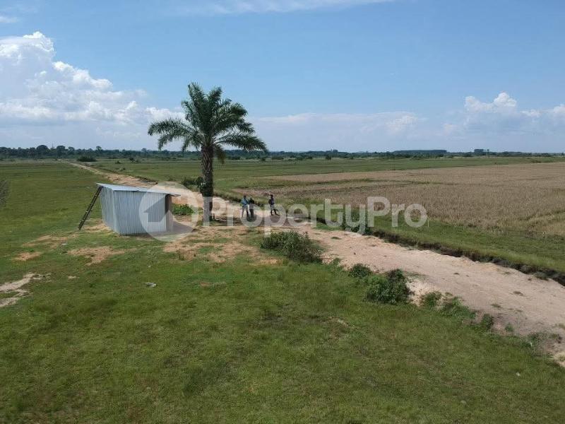 Land for sale Masaka  Masaka Central - 0