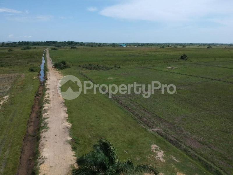 Land for sale Masaka  Masaka Central - 2