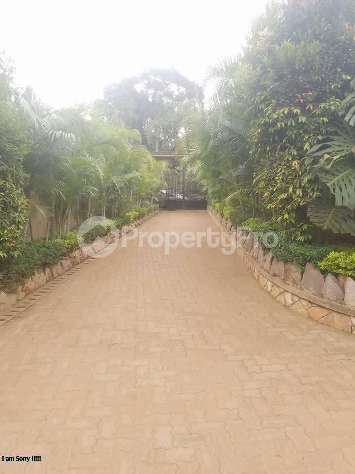 2 bedroom Bungalow Apartment for rent Bukoto road Bukoto Kampala Central - 9
