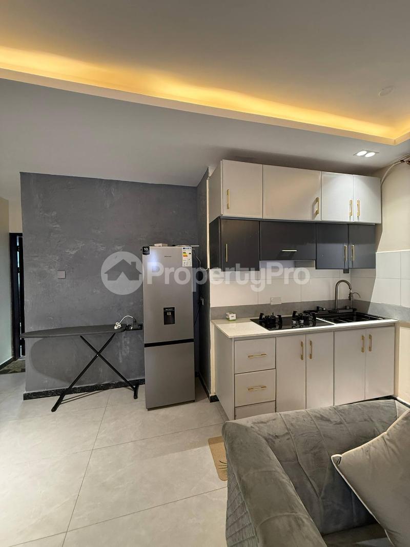 1 bedroom mini flat  Apartment Block Apartment for rent Buziga road Kampala Central - 3