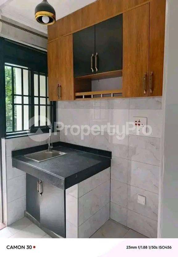 1 bedroom mini flat  Apartment Block Apartment for rent Buziga road Kampala Central - 7