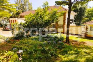 Commercial Properties for rent Lavington Nairobi