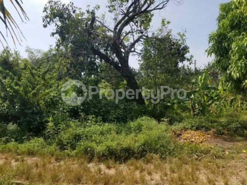 Land for sale Diani Mombasa