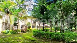 Commercial Properties for rent Karen Nairobi