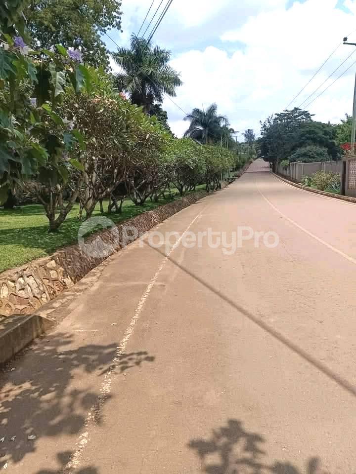 1 bedroom mini flat  Studio Apartment for rent mutungo road Kampala Central - 3